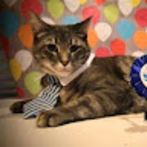 Meet your Posher, Lynn